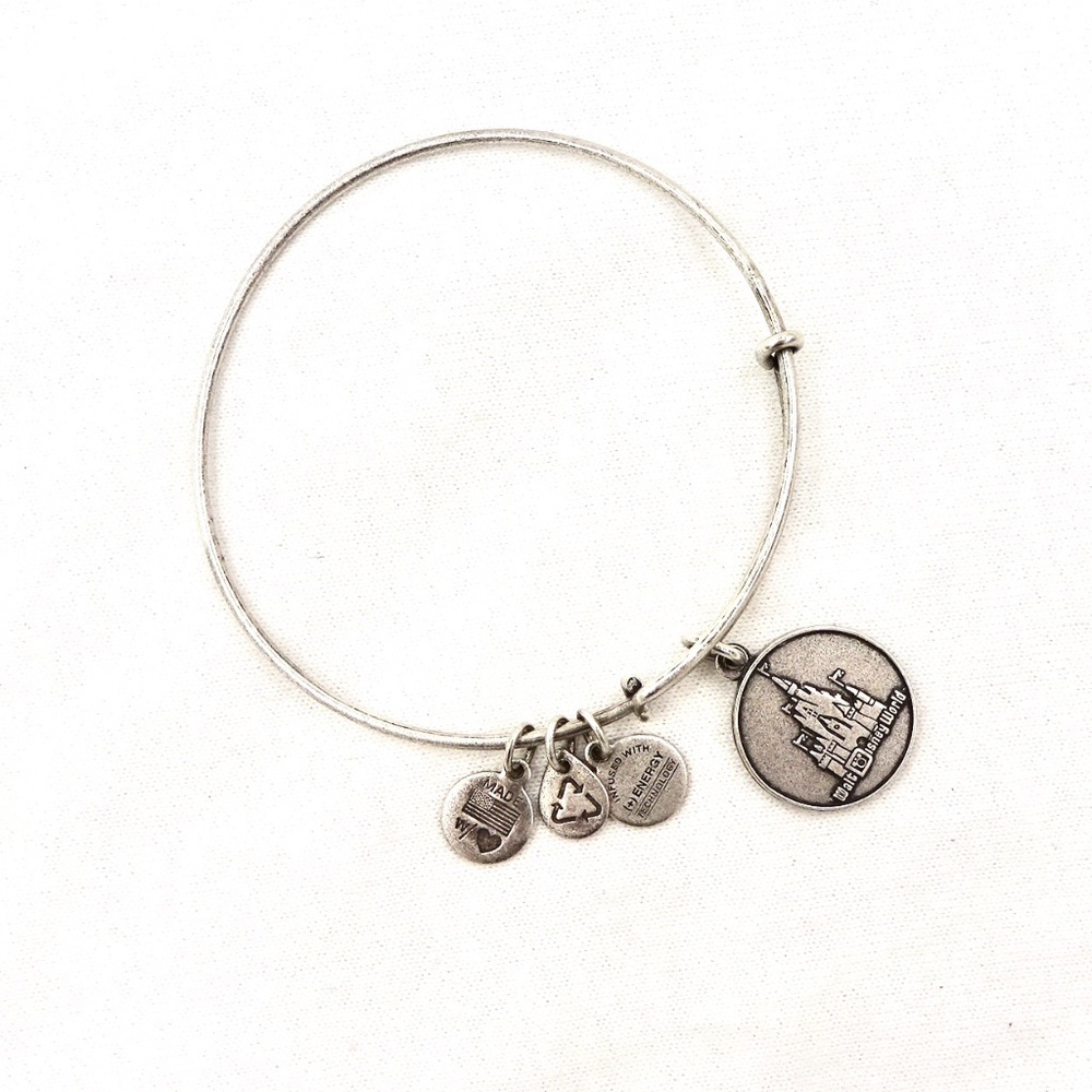 Alex & Ani Energy Bangle Bracelet Disney World
